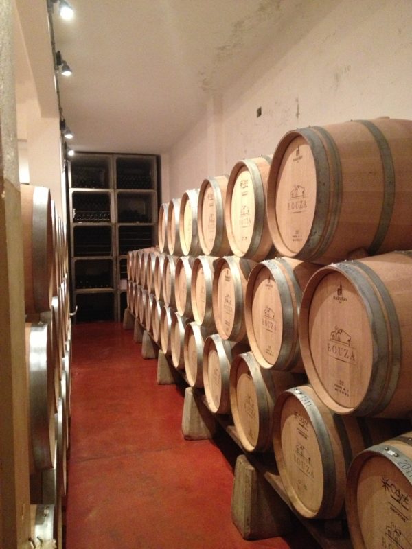 foto da Bodega Bouza em montevidéu vinícolas no Uruguai
