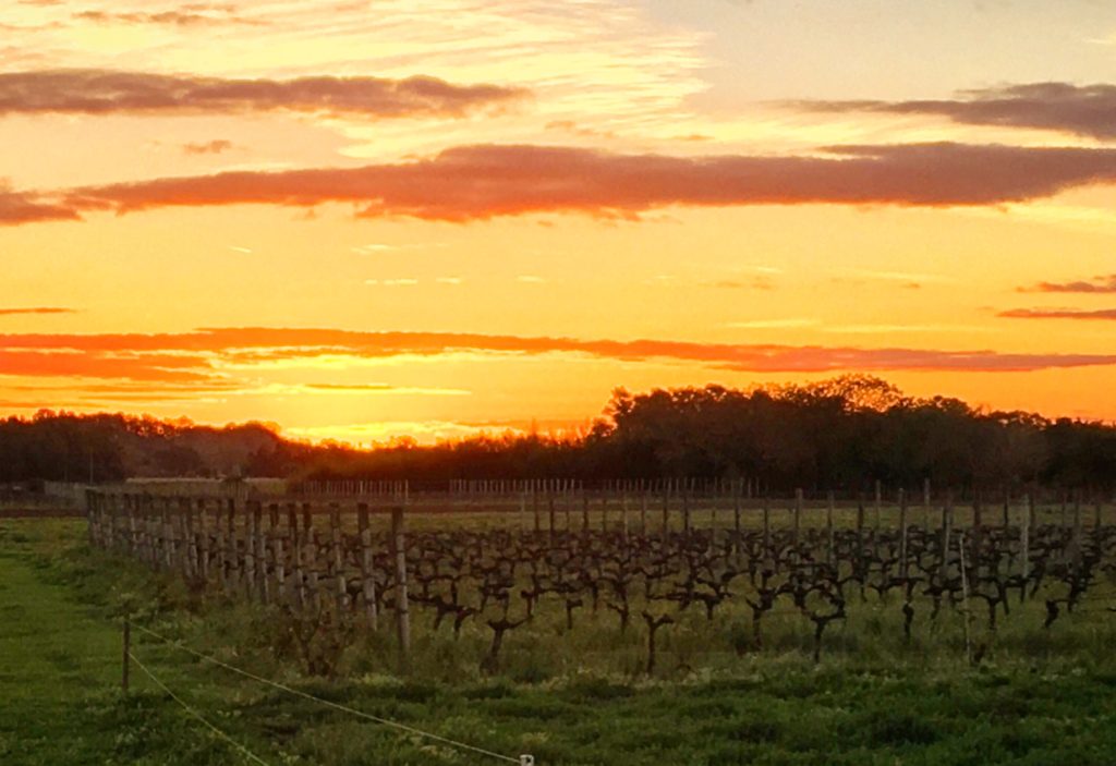 foto do por-do-sol na bodega y posada campotinto em Carmelo vinícolas no Uruguai