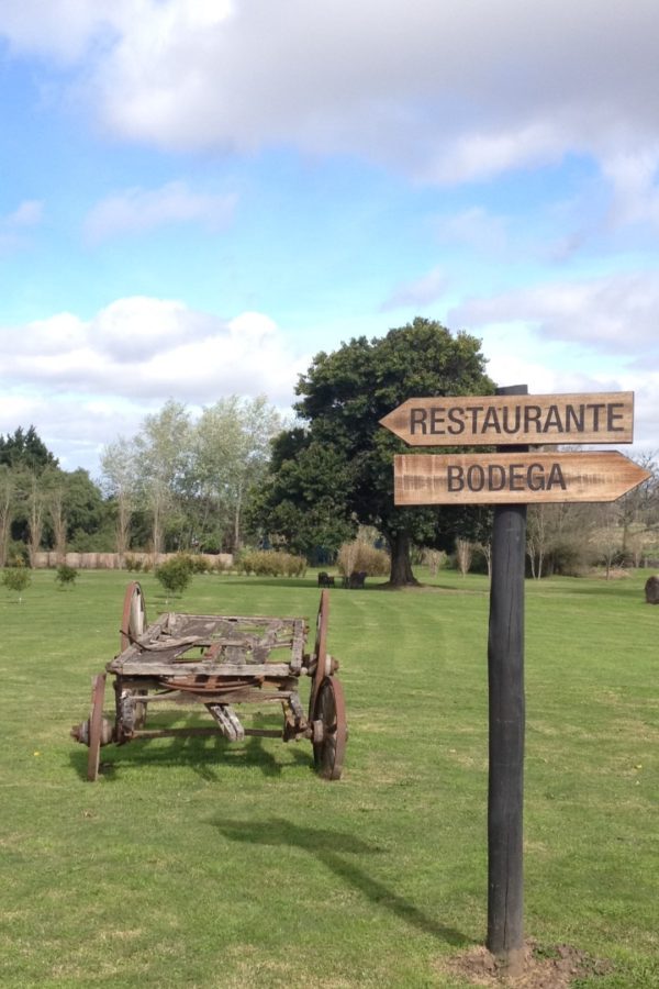 foto da bodega y posada campotinto em Carmelo vinícolas viagem de carro pelo Uruguai